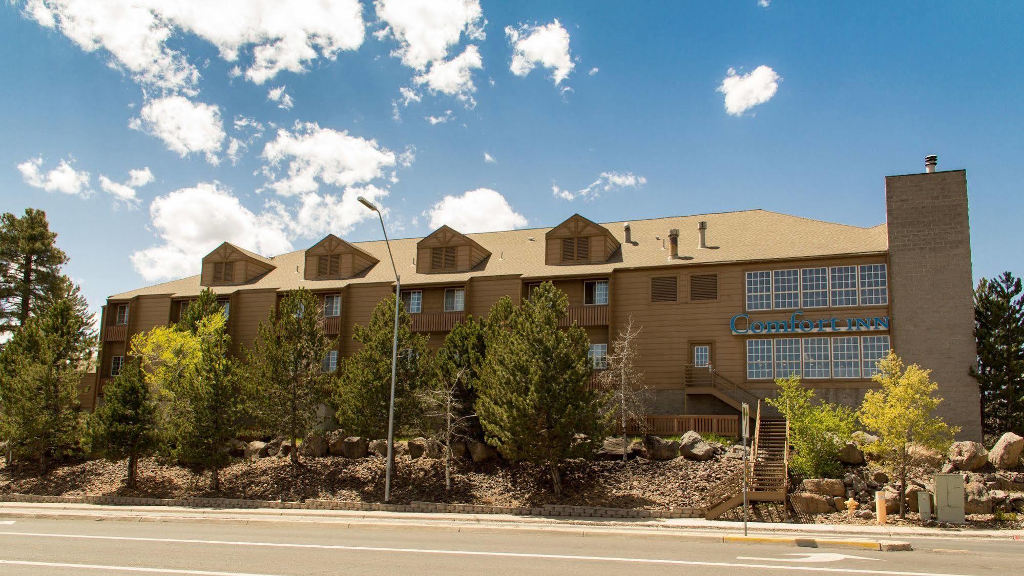 Comfort Inn I-17&I-40 Flagstaff Exterior foto